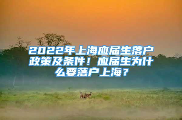 2022年上海應(yīng)屆生落戶政策及條件！應(yīng)屆生為什么要落戶上海？