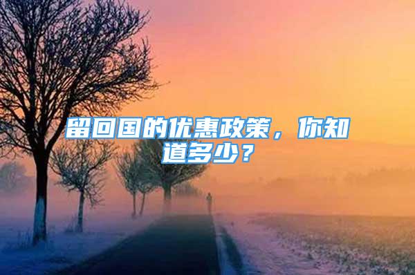 留回國的優(yōu)惠政策，你知道多少？