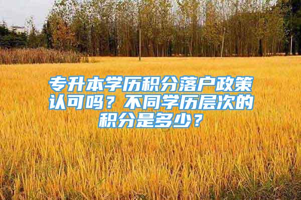 專升本學(xué)歷積分落戶政策認可嗎？不同學(xué)歷層次的積分是多少？