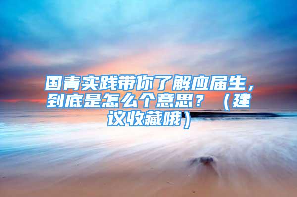 國青實踐帶你了解應(yīng)屆生，到底是怎么個意思？（建議收藏哦）