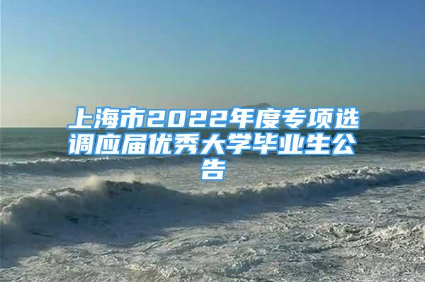 上海市2022年度專項(xiàng)選調(diào)應(yīng)屆優(yōu)秀大學(xué)畢業(yè)生公告