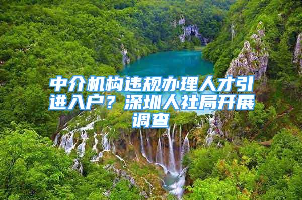 中介機構違規(guī)辦理人才引進入戶？深圳人社局開展調查