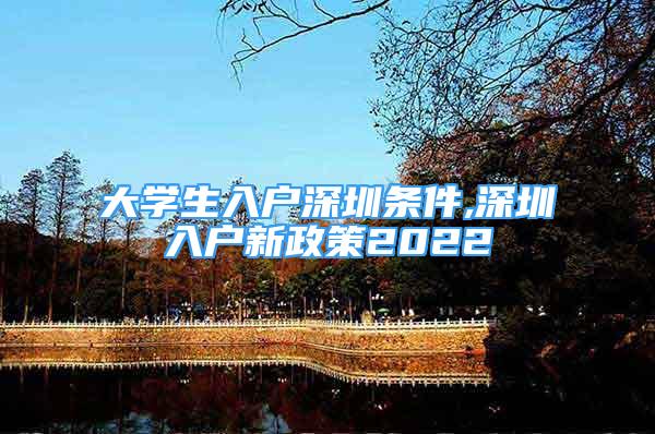 大學(xué)生入戶深圳條件,深圳入戶新政策2022