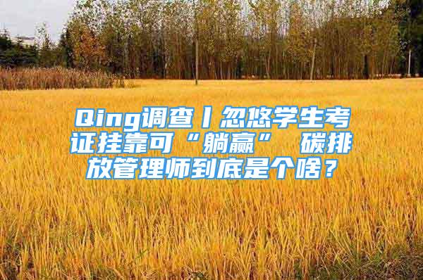 Qing調(diào)查丨忽悠學(xué)生考證掛靠可“躺贏” 碳排放管理師到底是個(gè)啥？