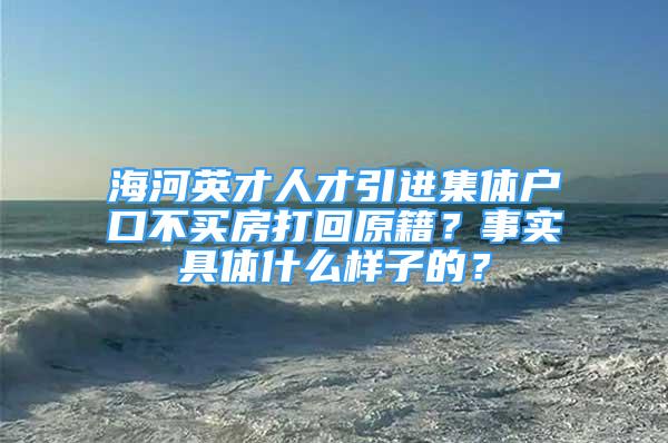 海河英才人才引進集體戶口不買房打回原籍？事實具體什么樣子的？