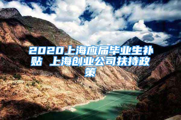 2020上海應(yīng)屆畢業(yè)生補貼 上海創(chuàng)業(yè)公司扶持政策