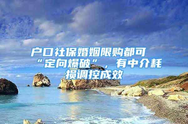 戶口社?；橐鱿拶彾伎伞岸ㄏ虮啤?，有中介耗損調控成效