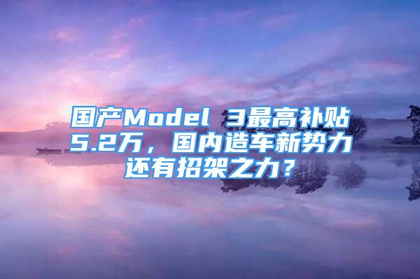 國產(chǎn)Model 3最高補(bǔ)貼5.2萬，國內(nèi)造車新勢力還有招架之力？