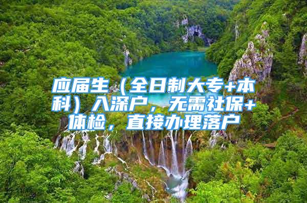 應(yīng)屆生（全日制大專+本科）入深戶，無需社保+體檢，直接辦理落戶