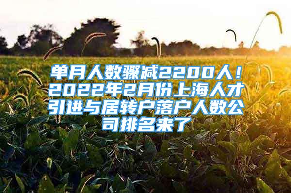 單月人數(shù)驟減2200人！2022年2月份上海人才引進(jìn)與居轉(zhuǎn)戶落戶人數(shù)公司排名來了