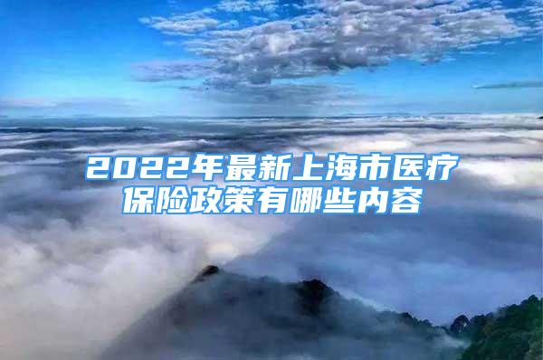 2022年最新上海市醫(yī)療保險(xiǎn)政策有哪些內(nèi)容