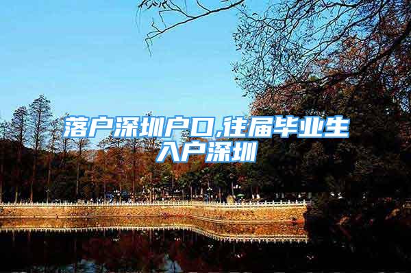 落戶深圳戶口,往屆畢業(yè)生入戶深圳