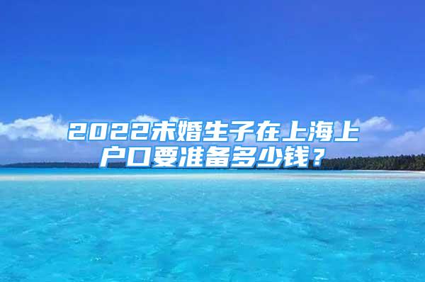 2022未婚生子在上海上戶口要準備多少錢？