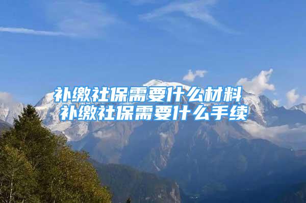 補繳社保需要什么材料 補繳社保需要什么手續(xù)