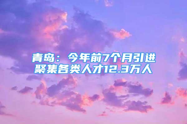 青島：今年前7個(gè)月引進(jìn)聚集各類人才12.3萬(wàn)人