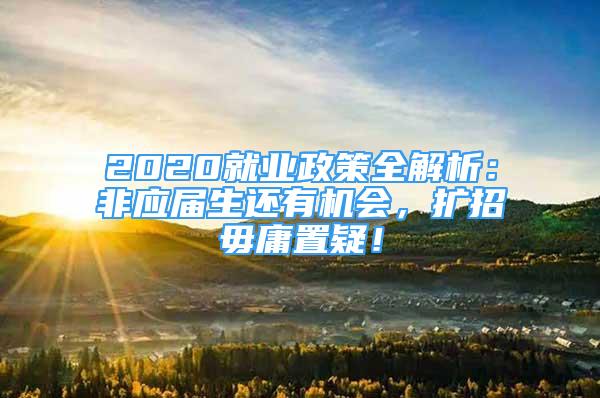 2020就業(yè)政策全解析：非應(yīng)屆生還有機(jī)會(huì)，擴(kuò)招毋庸置疑！