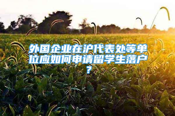 外國企業(yè)在滬代表處等單位應(yīng)如何申請留學(xué)生落戶？