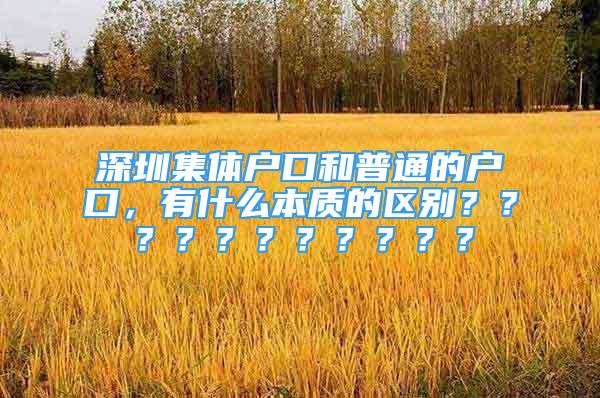 深圳集體戶(hù)口和普通的戶(hù)口，有什么本質(zhì)的區(qū)別？？？？？？？？？？？