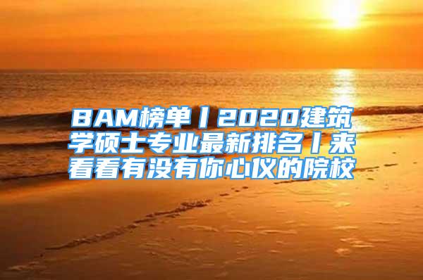 BAM榜單丨2020建筑學碩士專業(yè)最新排名丨來看看有沒有你心儀的院校