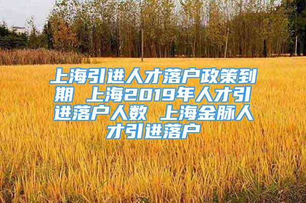 上海引進(jìn)人才落戶政策到期 上海2019年人才引進(jìn)落戶人數(shù) 上海金脈人才引進(jìn)落戶