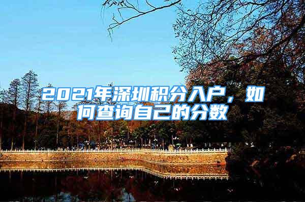 2021年深圳積分入戶，如何查詢自己的分數(shù)