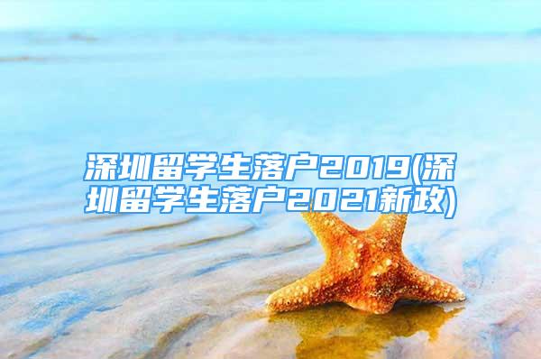 深圳留學(xué)生落戶2019(深圳留學(xué)生落戶2021新政)