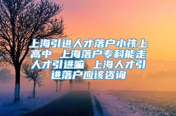 上海引進人才落戶小孩上高中 上海落戶專科能走人才引進嘛 上海人才引進落戶應該咨詢