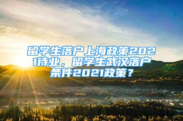 留學生落戶上海政策2021待業(yè)，留學生武漢落戶條件2021政策？