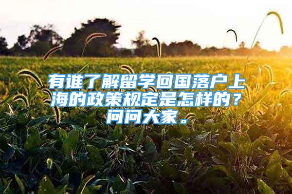 有誰了解留學(xué)回國落戶上海的政策規(guī)定是怎樣的？問問大家。