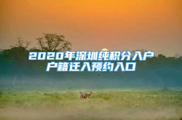 2020年深圳純積分入戶戶籍遷入預(yù)約入口