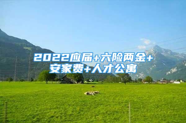 2022應(yīng)屆+六險(xiǎn)兩金+安家費(fèi)+人才公寓