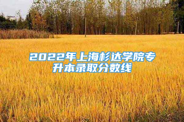 2022年上海杉達(dá)學(xué)院專升本錄取分?jǐn)?shù)線