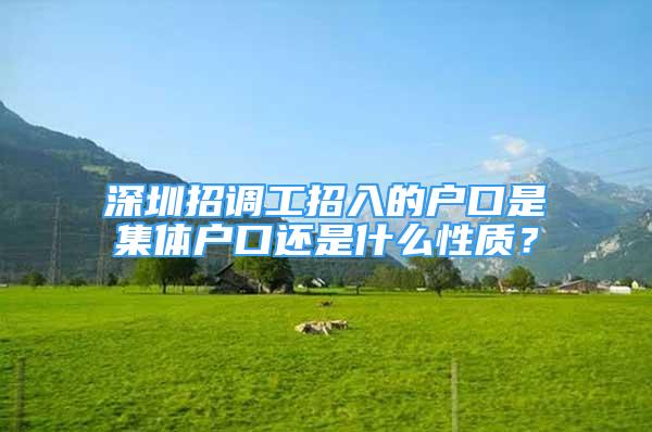 深圳招調(diào)工招入的戶口是集體戶口還是什么性質(zhì)？