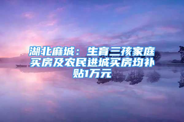 湖北麻城：生育三孩家庭買房及農(nóng)民進城買房均補貼1萬元