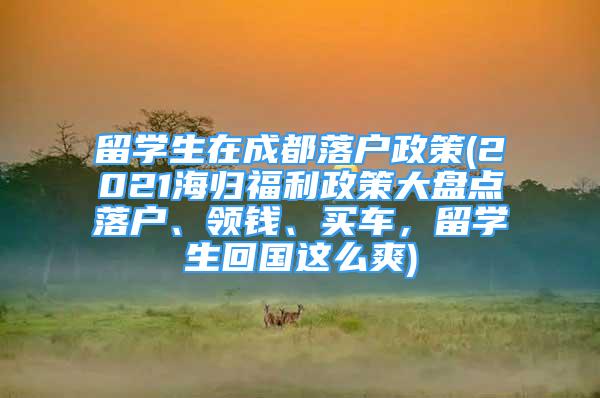 留學生在成都落戶政策(2021海歸福利政策大盤點落戶、領錢、買車，留學生回國這么爽)