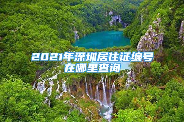 2021年深圳居住證編號在哪里查詢