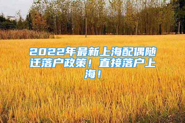 2022年最新上海配偶隨遷落戶政策！直接落戶上海！