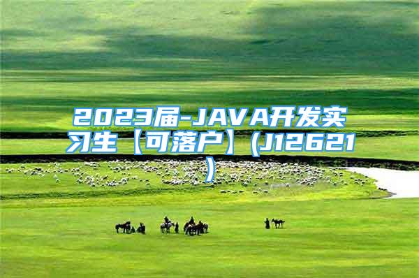 2023屆-JAVA開發(fā)實習生【可落戶】(J12621)