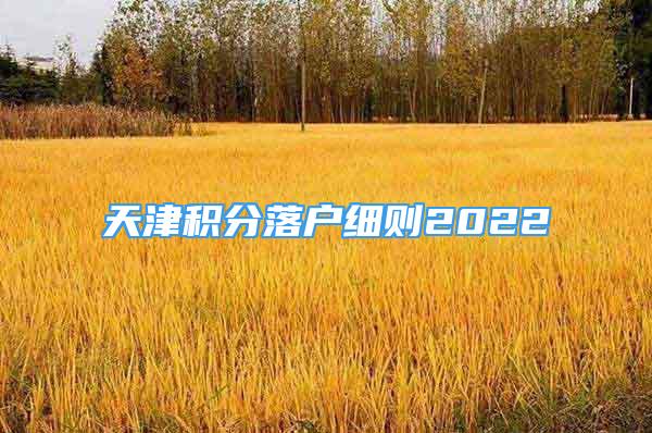 天津積分落戶細則2022