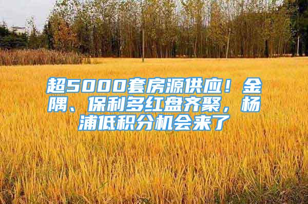 超5000套房源供應！金隅、保利多紅盤齊聚，楊浦低積分機會來了