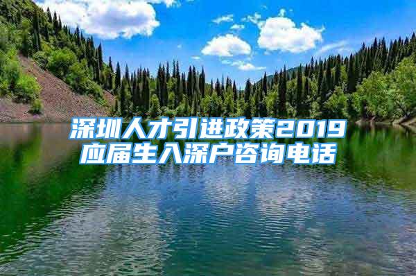 深圳人才引進政策2019應屆生入深戶咨詢電話