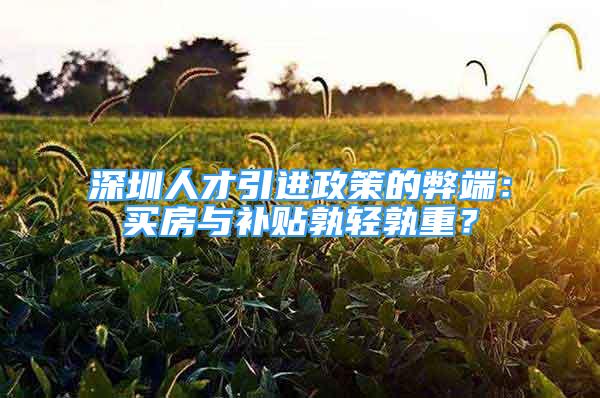 深圳人才引進政策的弊端：買房與補貼孰輕孰重？