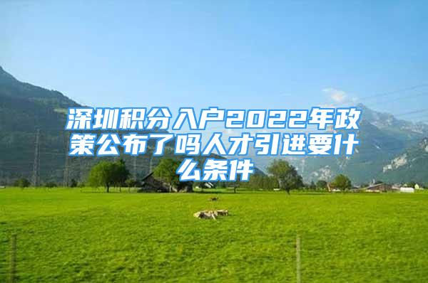 深圳積分入戶2022年政策公布了嗎人才引進(jìn)要什么條件