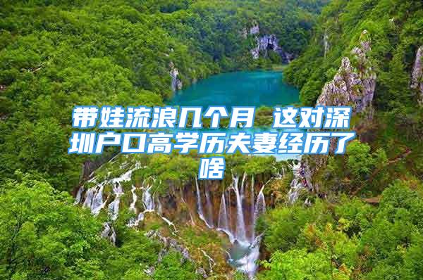 帶娃流浪幾個月 這對深圳戶口高學歷夫妻經(jīng)歷了啥