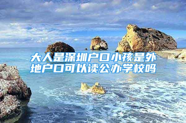 大人是深圳戶口小孩是外地戶口可以讀公辦學(xué)校嗎