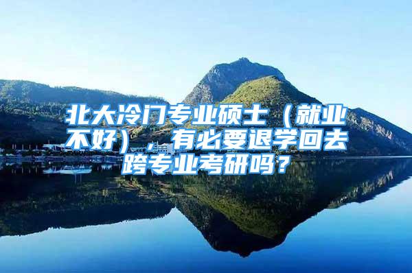 北大冷門專業(yè)碩士（就業(yè)不好），有必要退學(xué)回去跨專業(yè)考研嗎？