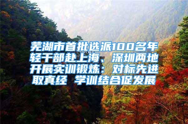 蕪湖市首批選派100名年輕干部赴上海、深圳兩地開(kāi)展實(shí)訓(xùn)鍛煉：對(duì)標(biāo)先進(jìn)取真經(jīng) 學(xué)訓(xùn)結(jié)合促發(fā)展