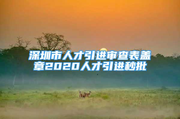 深圳市人才引進審查表蓋章2020人才引進秒批