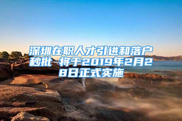 深圳在職人才引進(jìn)和落戶秒批 將于2019年2月28日正式實(shí)施