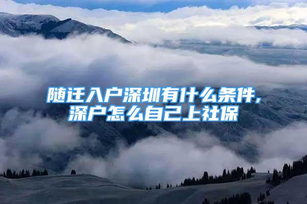 隨遷入戶深圳有什么條件,深戶怎么自己上社保